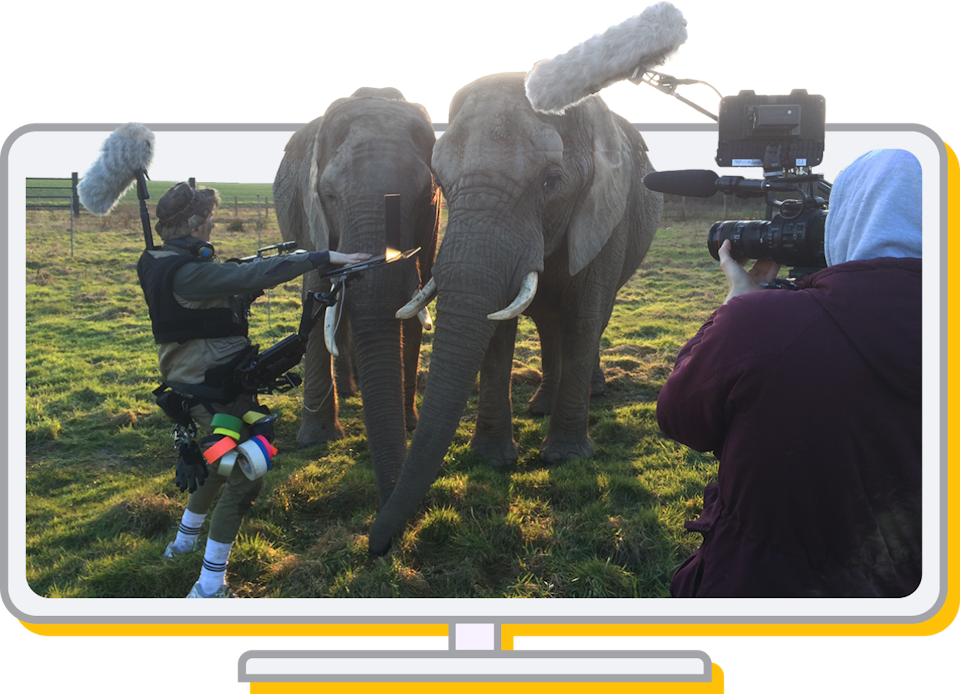 Filming team with elephants